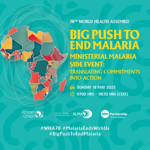 MINISTERIAL MALARIA BRIEFING